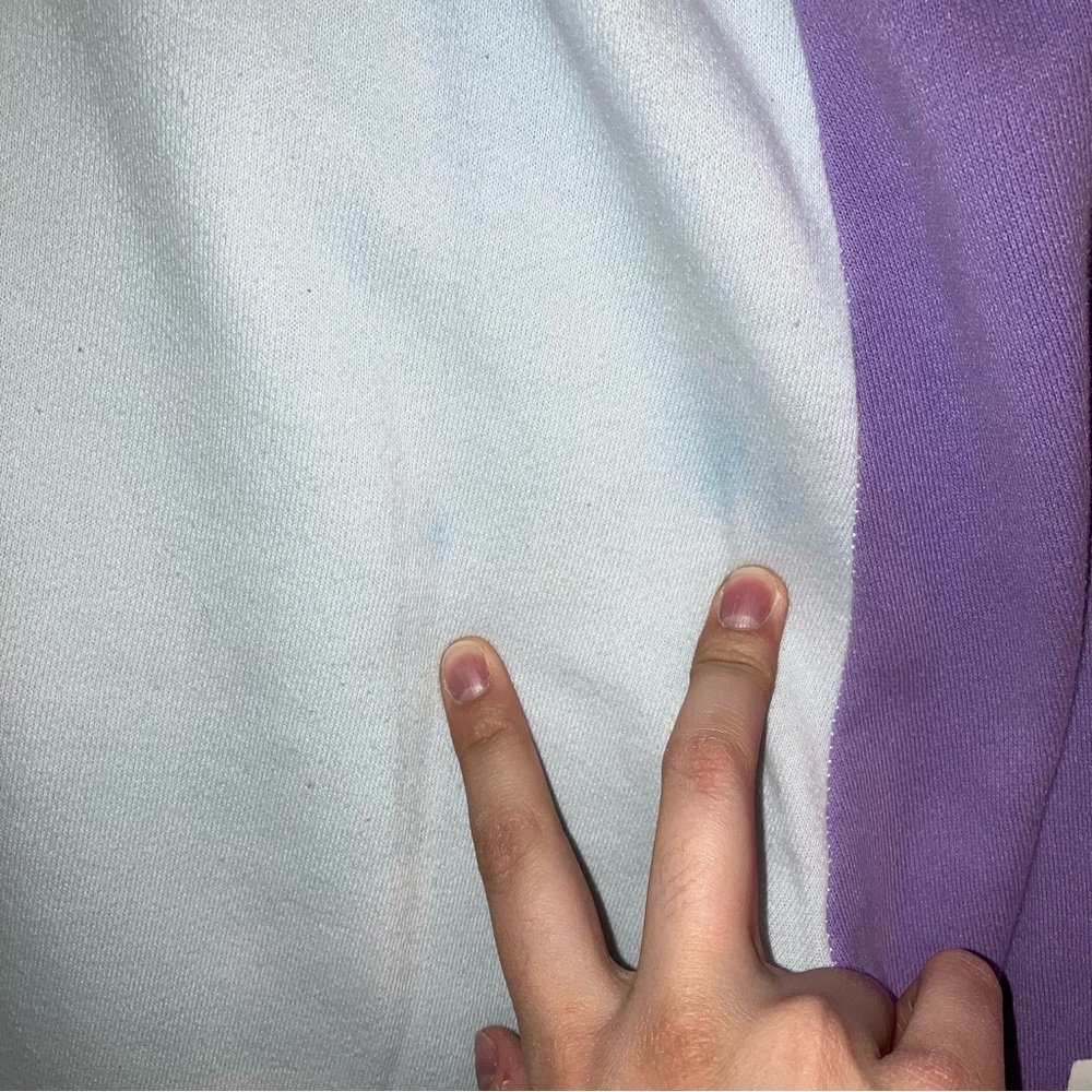 Pacsun Colorblock Spliced Jogger Sweatpants - Picture 10 of 10